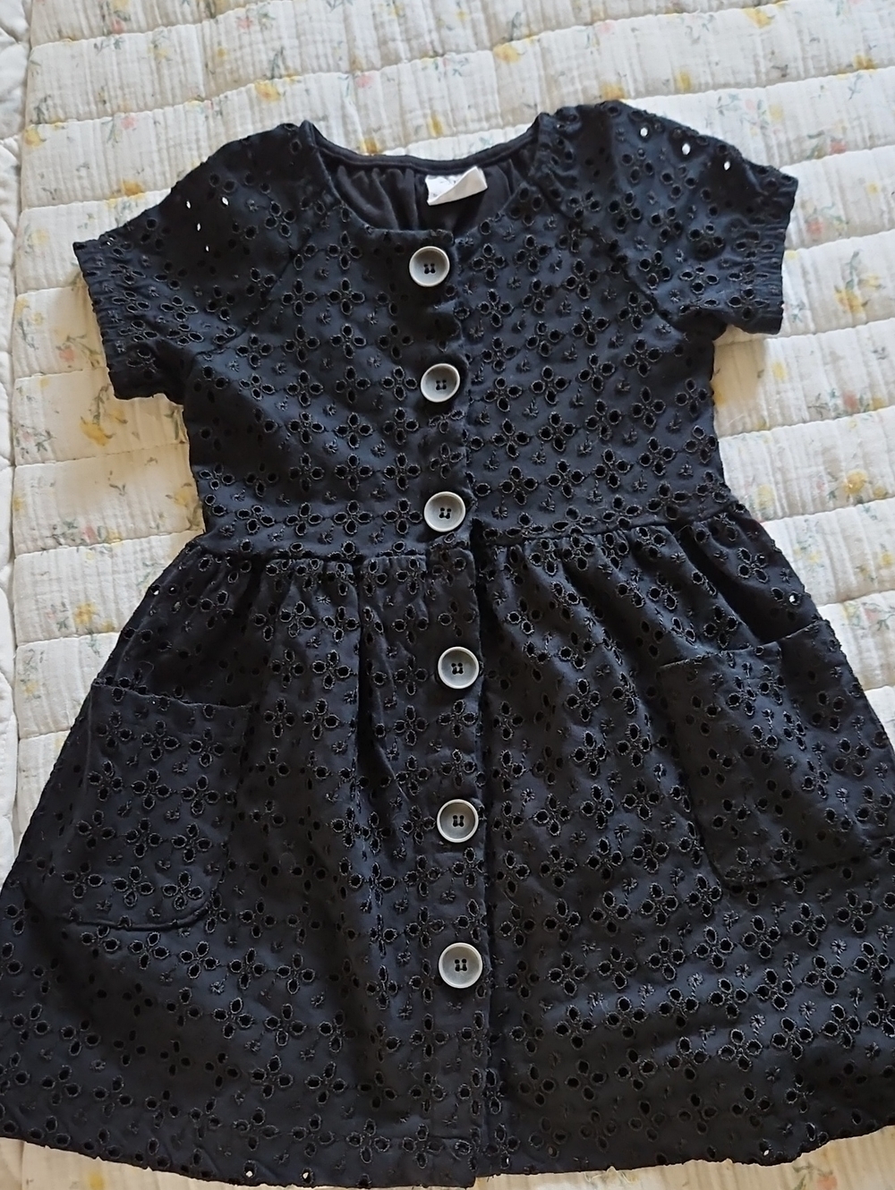 Zara Black Eyelet Button-Front Dress